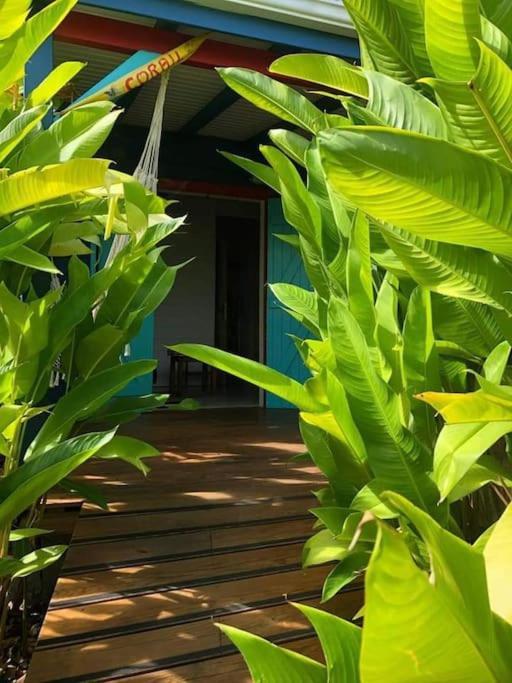 Secteur Prise, Bungalow Corail, Residence Casa Boubou Sainte-Anne  Extérieur photo