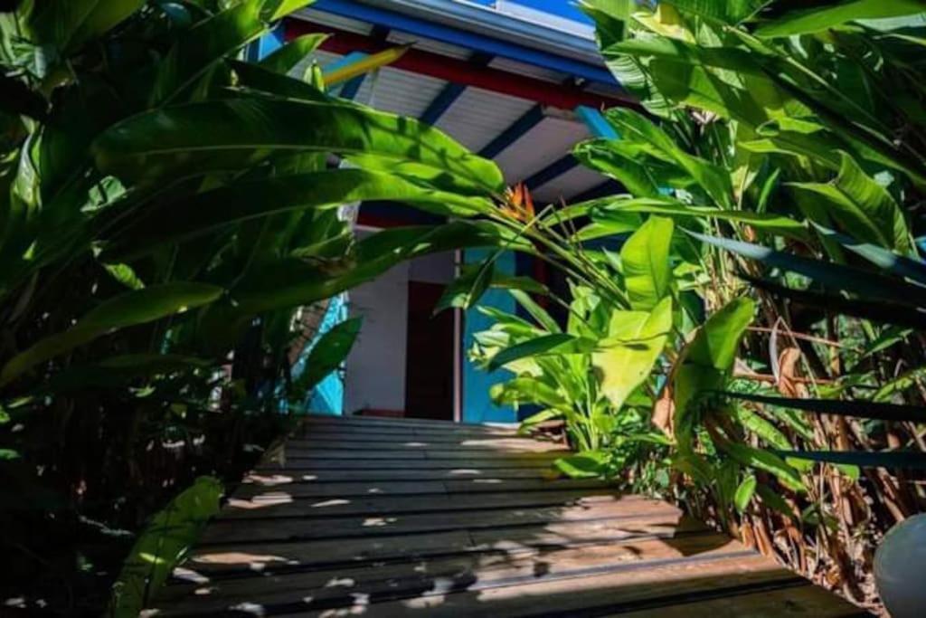 Secteur Prise, Bungalow Corail, Residence Casa Boubou Sainte-Anne  Extérieur photo